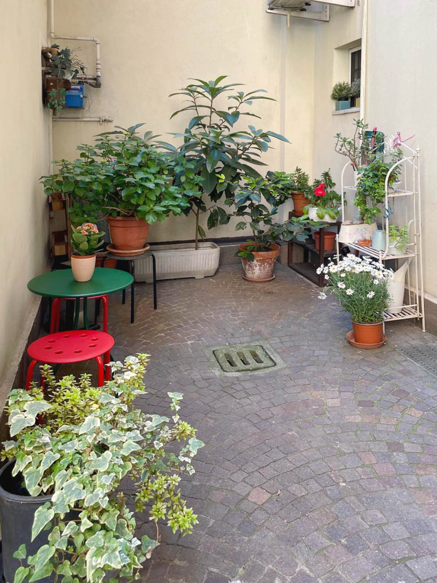 Foto 11