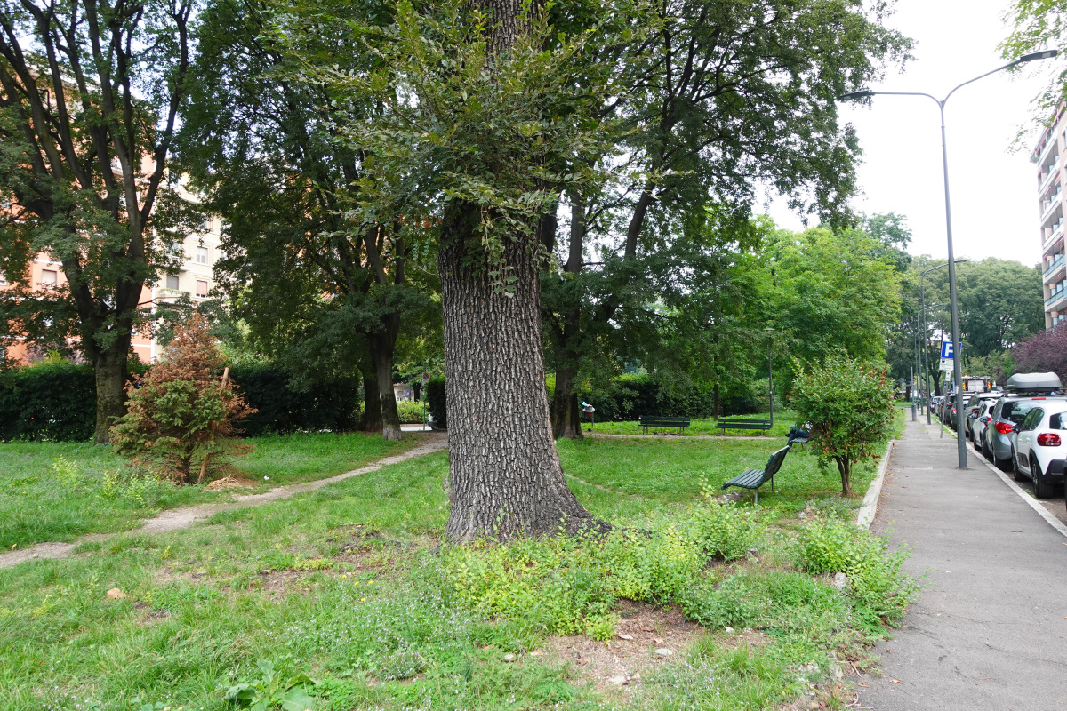 Foto 17