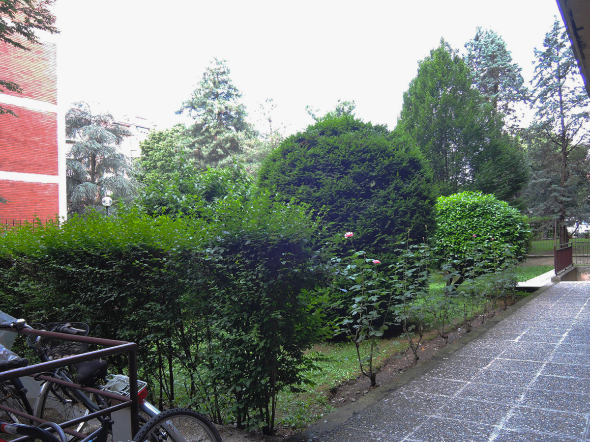 Foto 14